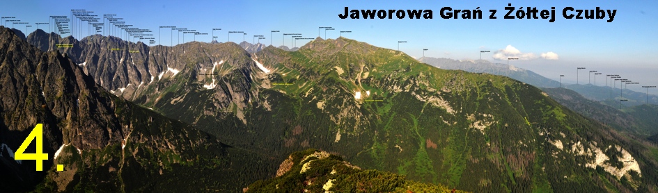 Panorama z Żółtej Czuby